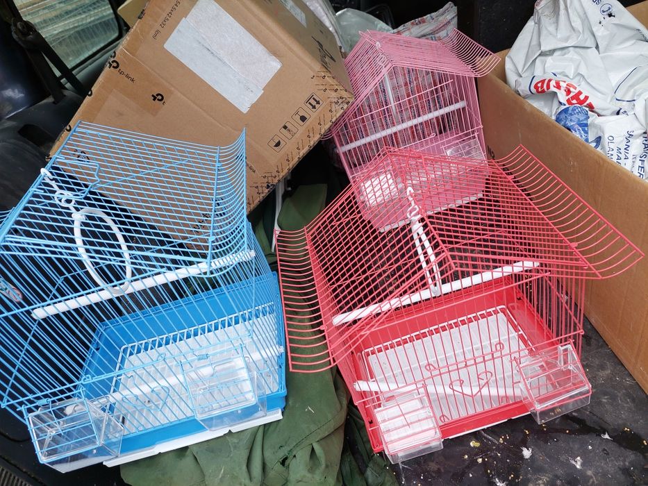 Prepelițe și  peruși