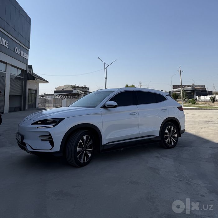 Byd champion restyling