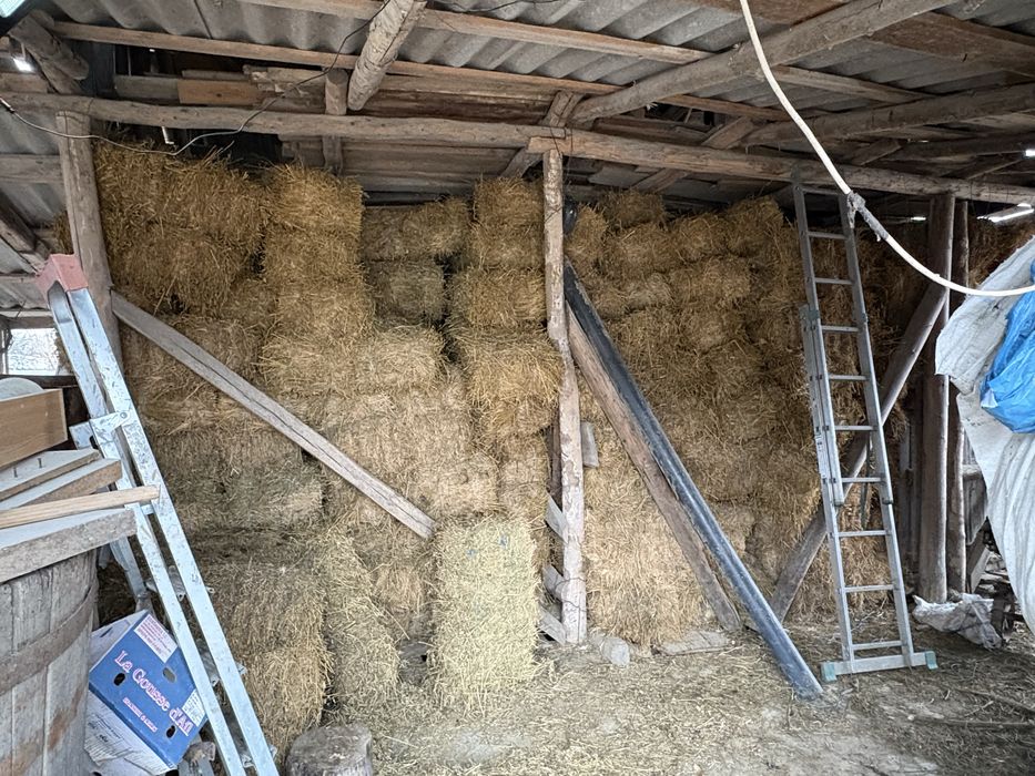 Vand baloti de lucerna