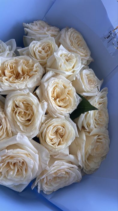 Продам цветы свежие