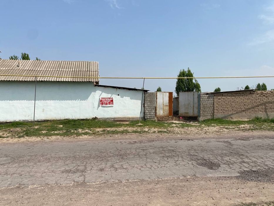 Chorva joyllari mol qoy boqishga