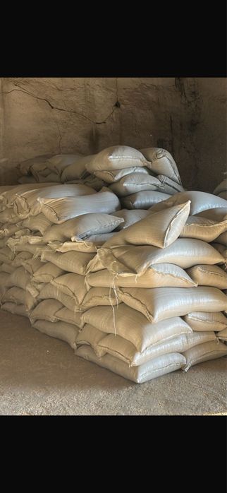 Продам ячмень,пщеница,овес,отходы