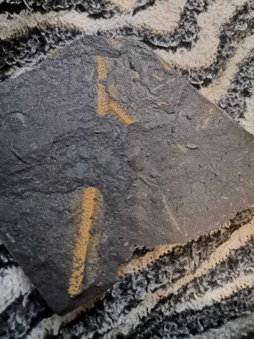 Продавам български фосили