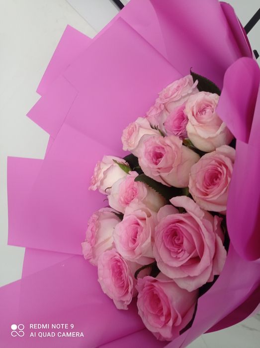 Голландское роза