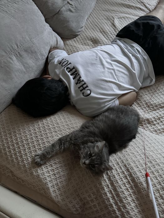 на хорошие руки