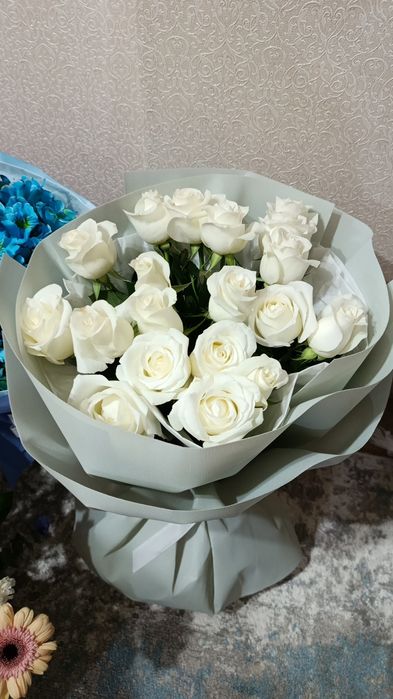 гулдер сатылады.