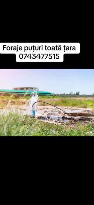 Foraje puturi toata tara