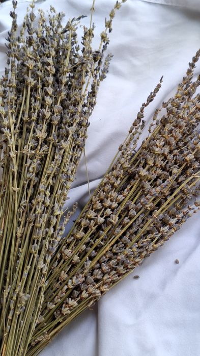 Букет ароматной лаванды