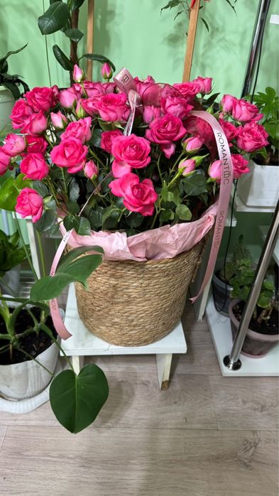 Продам цветы букет