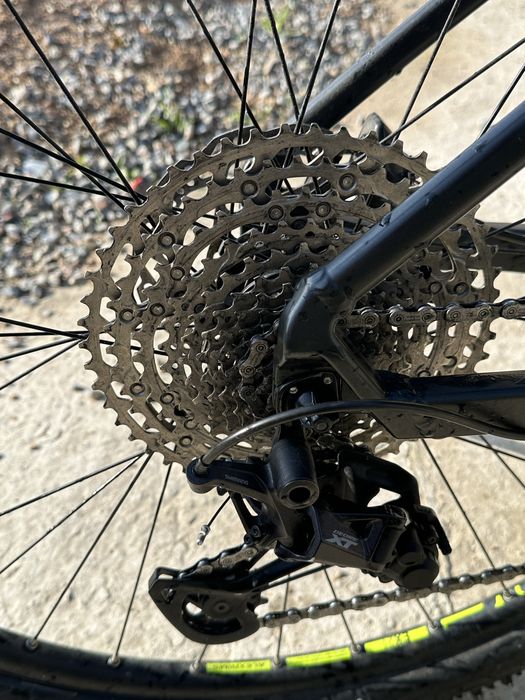 Cude reaction pro 2021 19