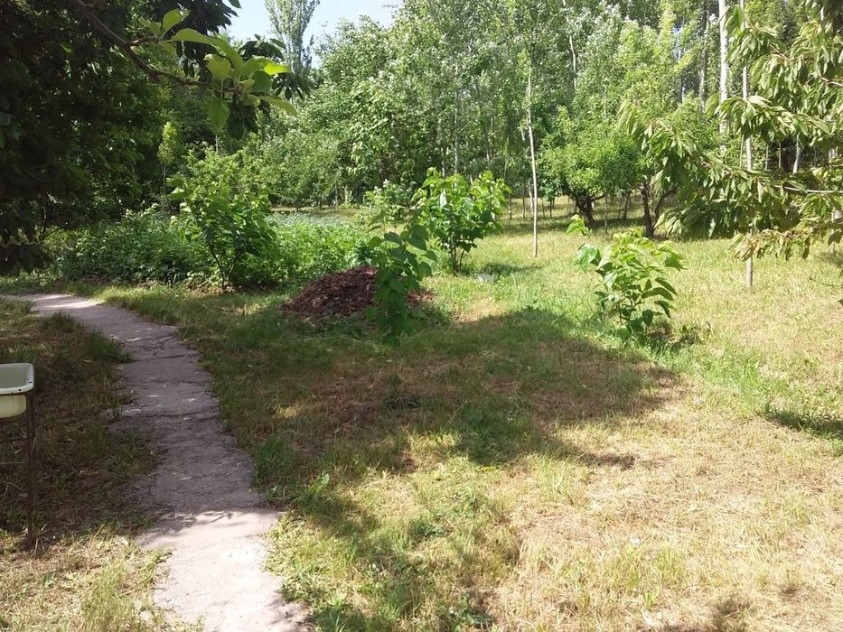 Dacha Uchun Yer Sotiladi