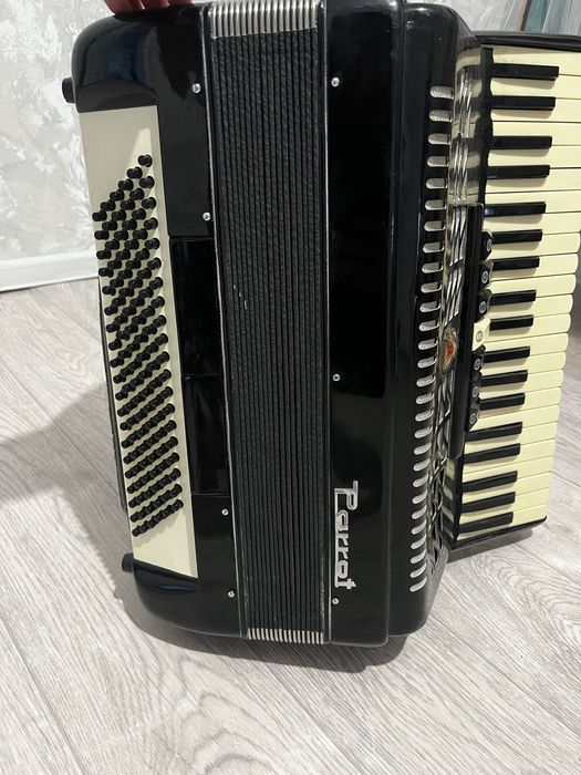 Аккардеон Parrot 41/120