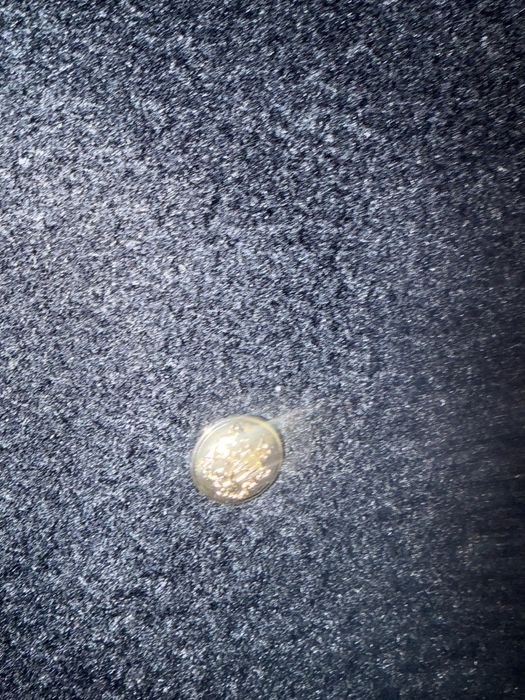 Късо палто ZARA тъмно синьо