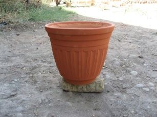 Версачи тувак ва кузалар