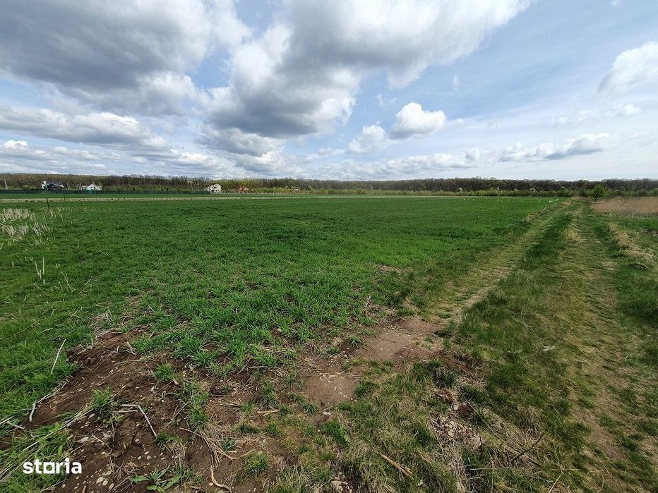 Teren langa padure si aproape utilitati,800 mp,36000 euro