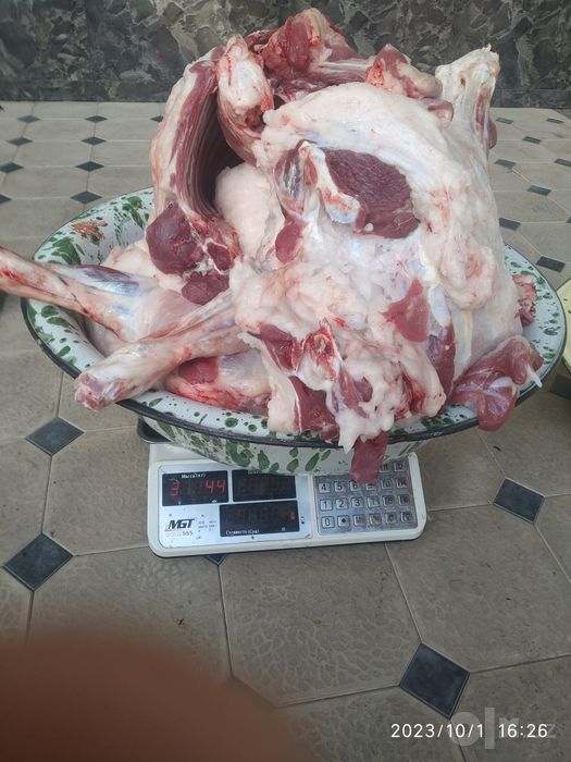 QASSOB XIZMATI  Қассоб ҳизмати.