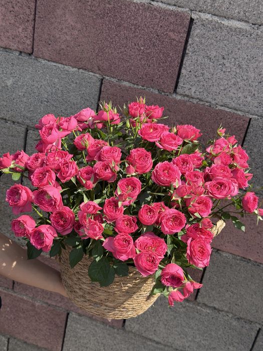 Продам букет свежий