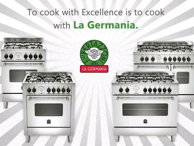 Ремонт газовых плит,элек. духовок и варочных панели. Стаж работы 23лет