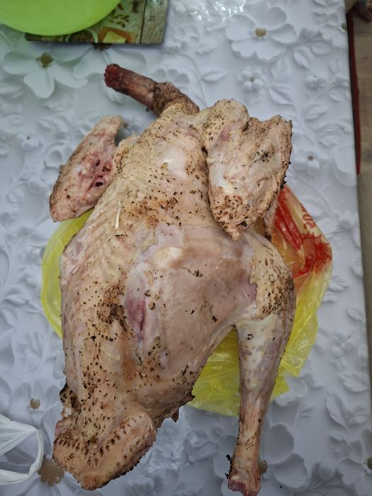 Продам домашние индюки
