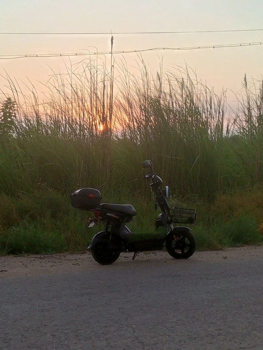 Scuter bonvi holati yaxshi