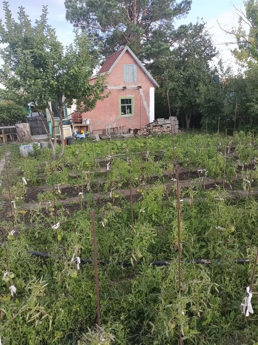 Продам дачу на СПП 8 соток