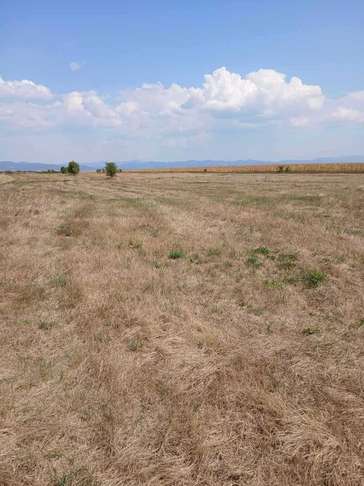 Продава се Парцел в с. Волуяк, Област София-град - 4000 кв.м за 27 €/кв.м - Снимка #6