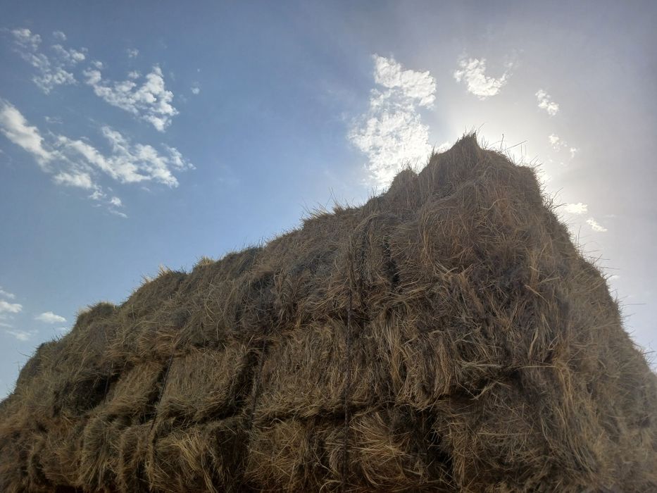 Продаётся сено тюковое