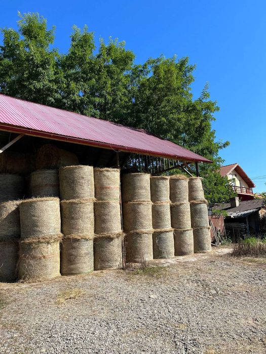 Vand baloti fan CERTIFICAT ECO an 2024