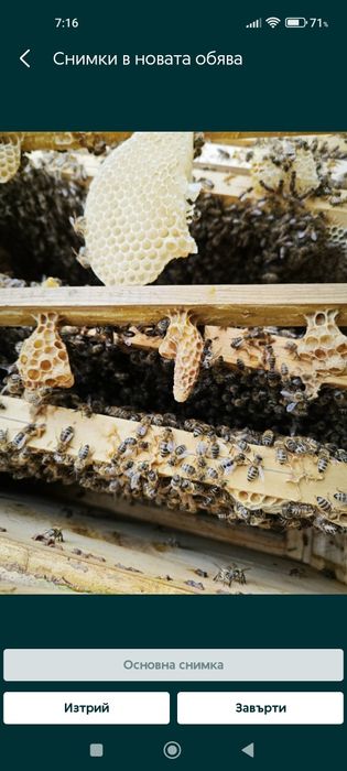 Кошери и отводки