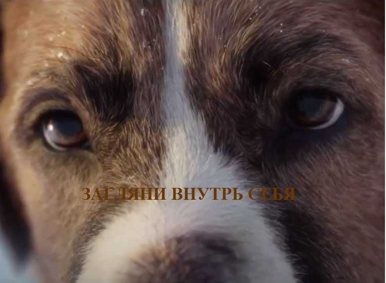 Здоровье навсегда. Душевное равновесие. Психолог- Гипнолог в Ташкенте