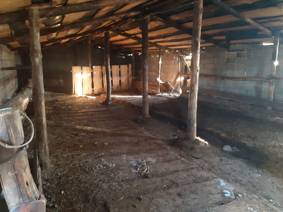 Сдам дом в Домбралы 3 комната