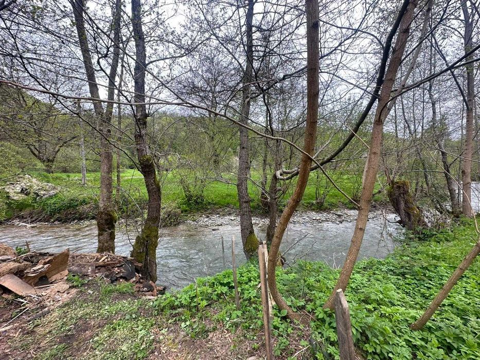 De vanzare Casa la munte si padure