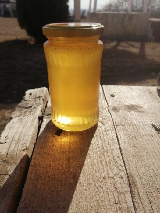 Vând Miere de Salcam