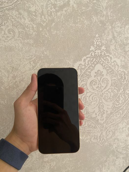 iphone 12 pro max холати идеал