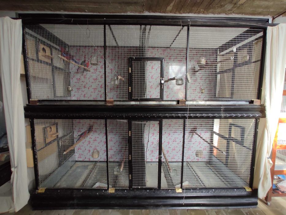 Катта кафас, большой вольер для больших птиц жако ара какаду александр