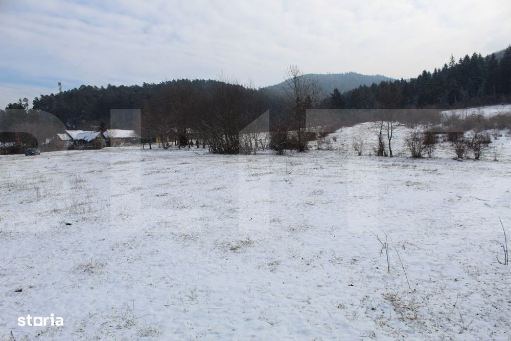 Teren intravilan 4.655 mp in Covasna – zona linistita, vedere la pad