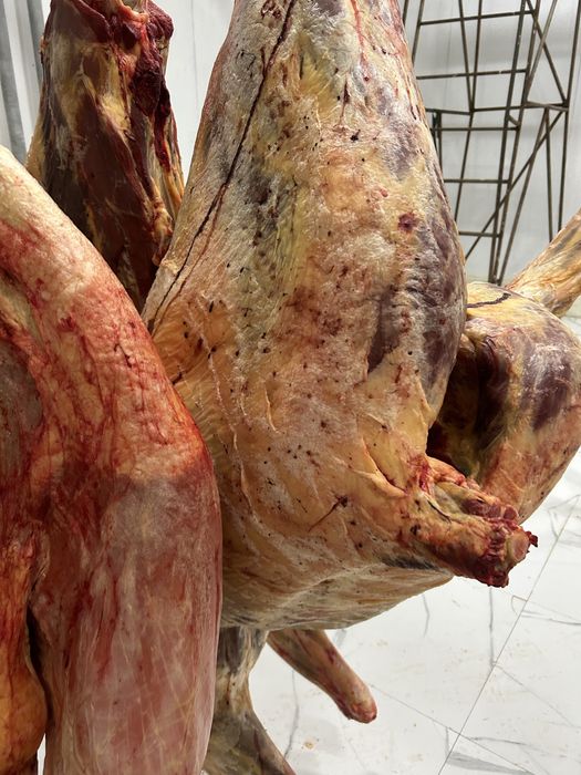 Жылкы баитал конина