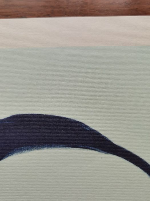 Комплект от 4 винтидж плаката Album Manifesti Cinzano d'Epoc