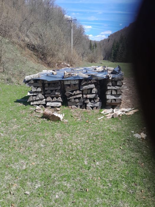 Lemne de foc de vanzare