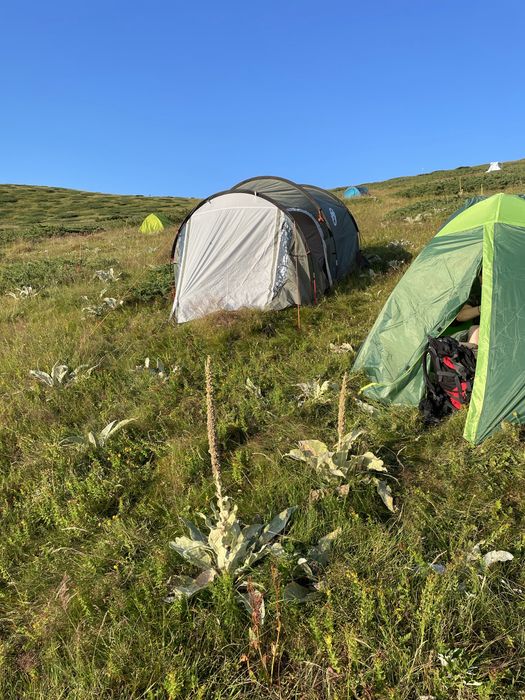 Coleman Coastline 3 Plus