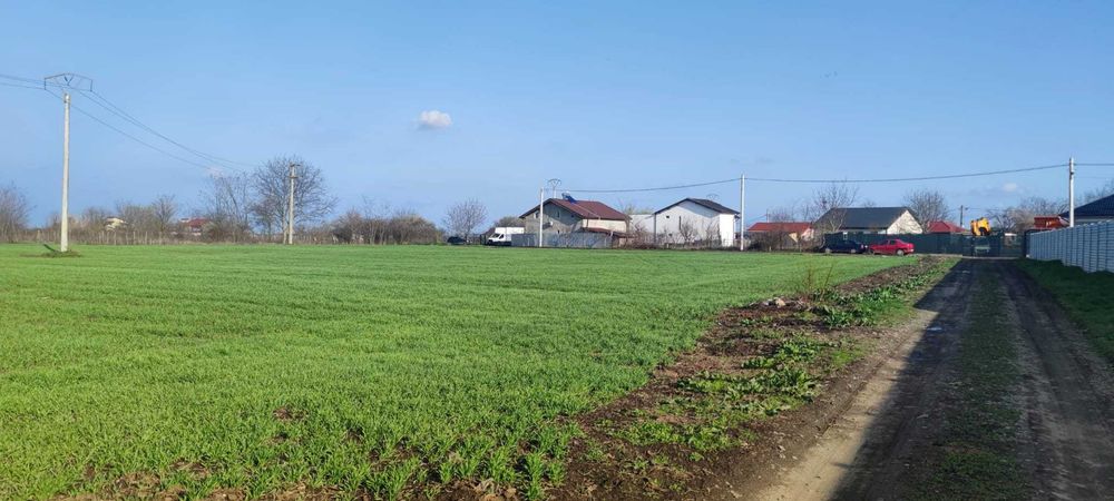 VÂND TEREN pentru casă în Postăvari 4480 mp