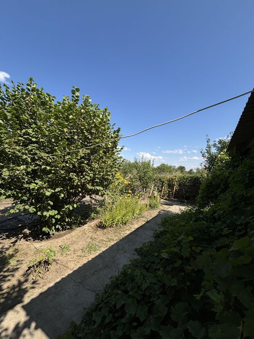 Продам дачу СК АО треста