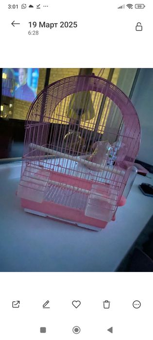 Продам клетку для попугая (хомячка)