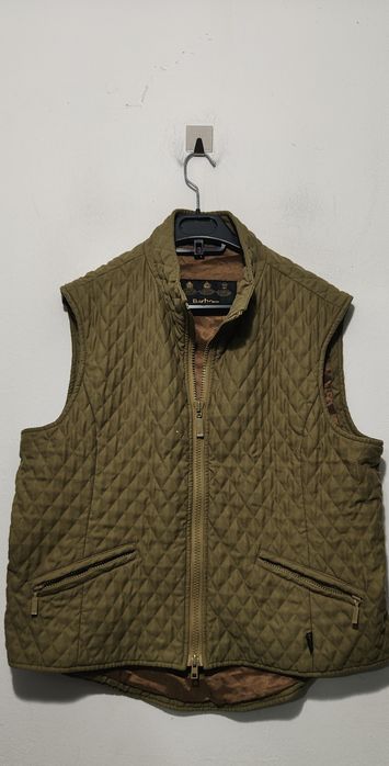 Vesta matlasata Barbour