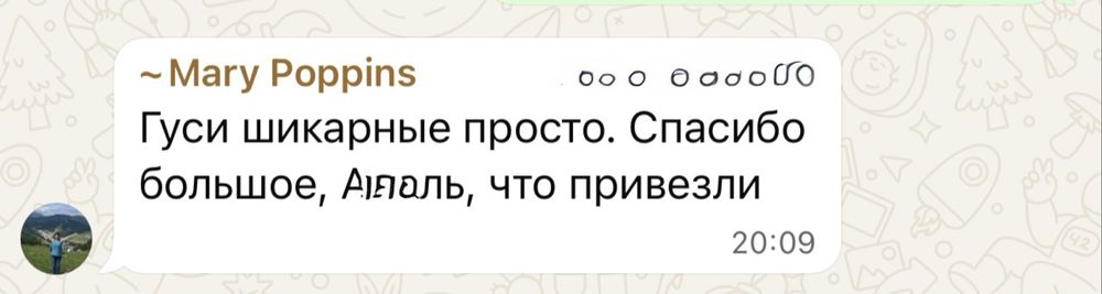Гуси оптом, қаздар