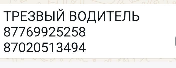 Трезвый Водитель