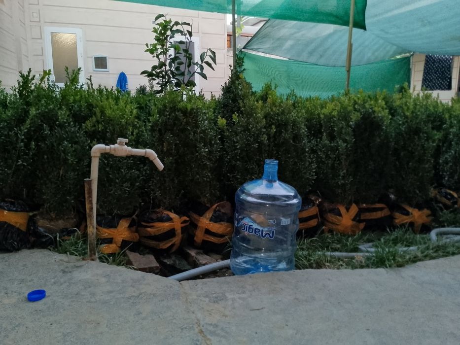 Шамшод 35000 сум