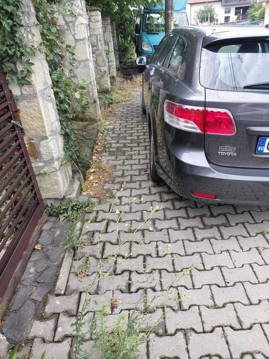 Vand Toyota Avensis 2000cmc 126 cp