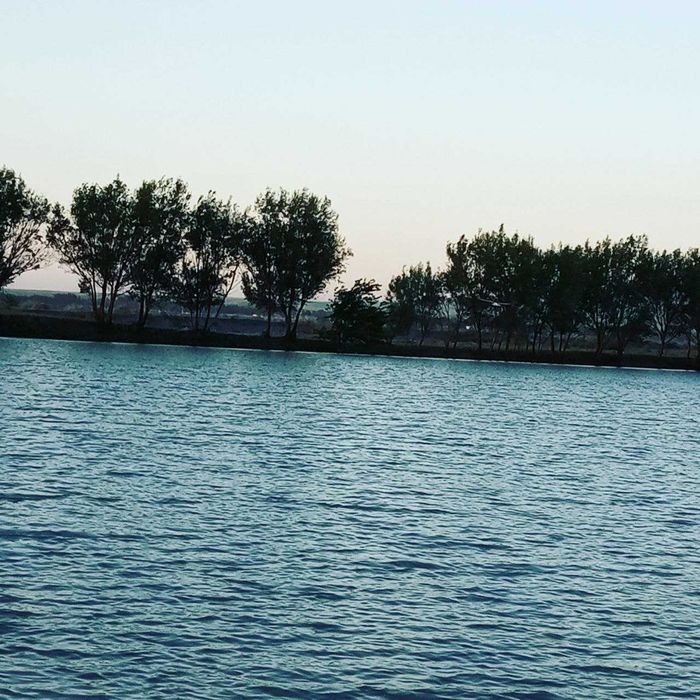 4 Гектарли балиқ хавзаси сотилади 20 000 та балиғи билан.