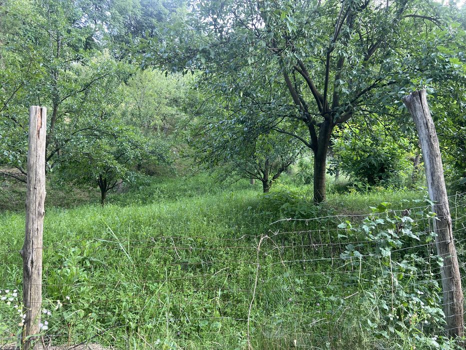 Teren intravilan de vânzare – 1.900 mp – Curtea de Argeș, cartier Nopateș